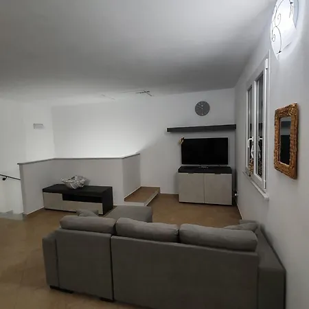 Burlamacco In Versilia Viareggio