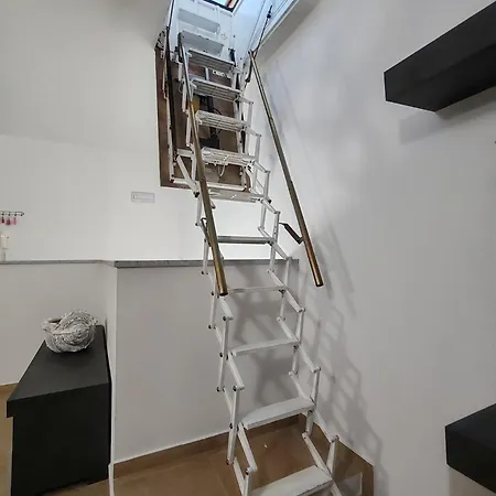 Burlamacco In Versilia فياريجيو