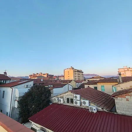 Burlamacco In Versilia *