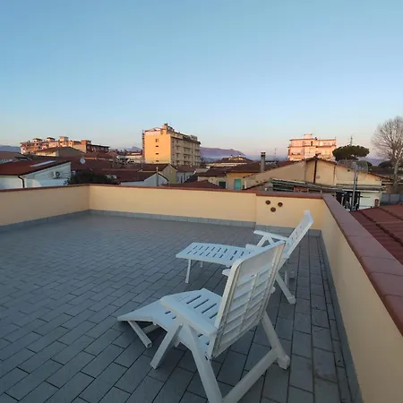 Burlamacco In Versilia Viareggio